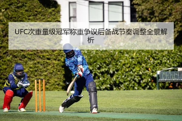 UFC次重量级冠军称重争议后备战节奏调整全景解析